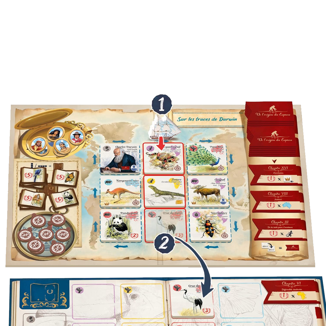 Tras los pasos de Darwin