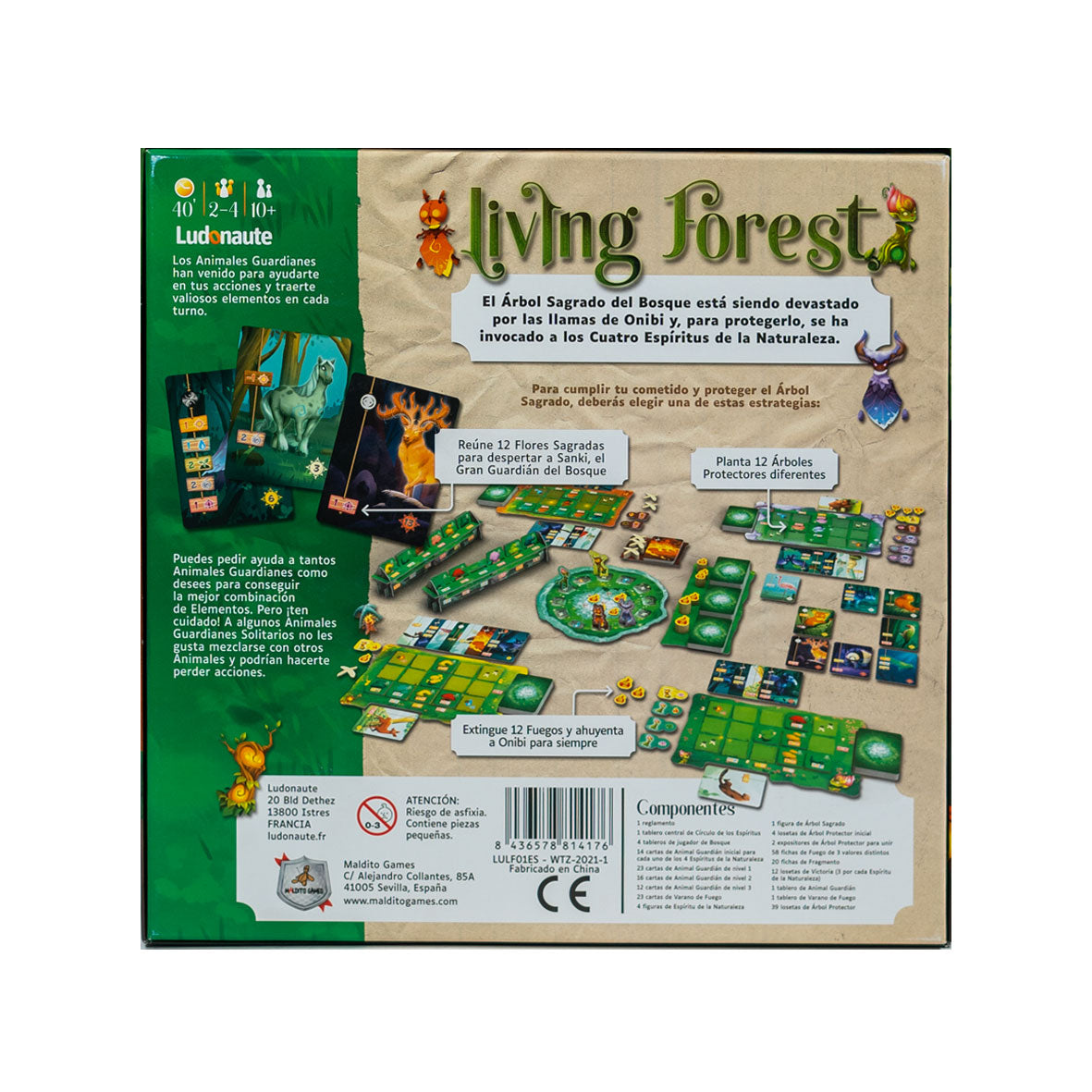 Living Forest