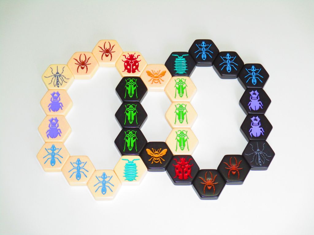 Hive