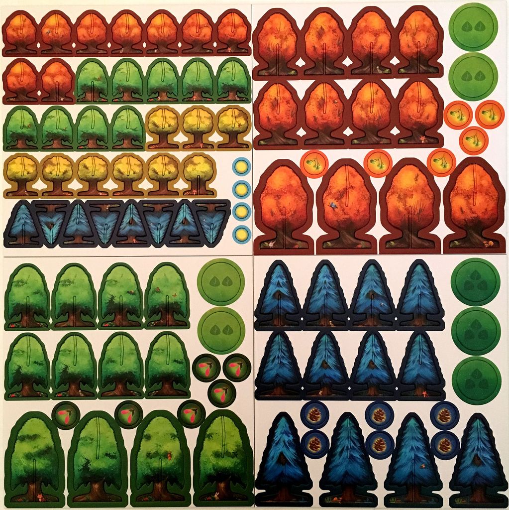 Photosynthesis