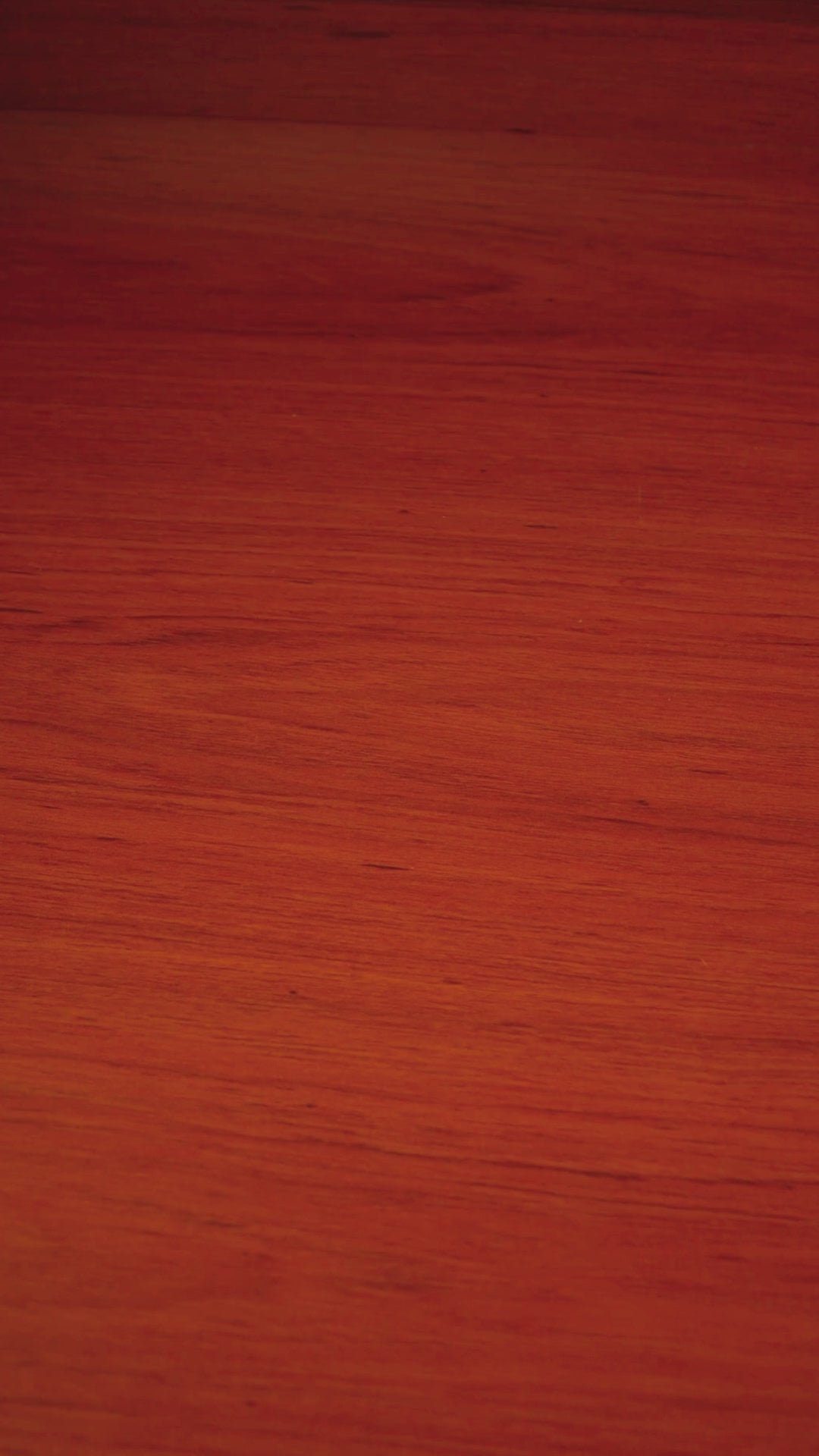 El Rey Loco : ¡Adiós Señorita!